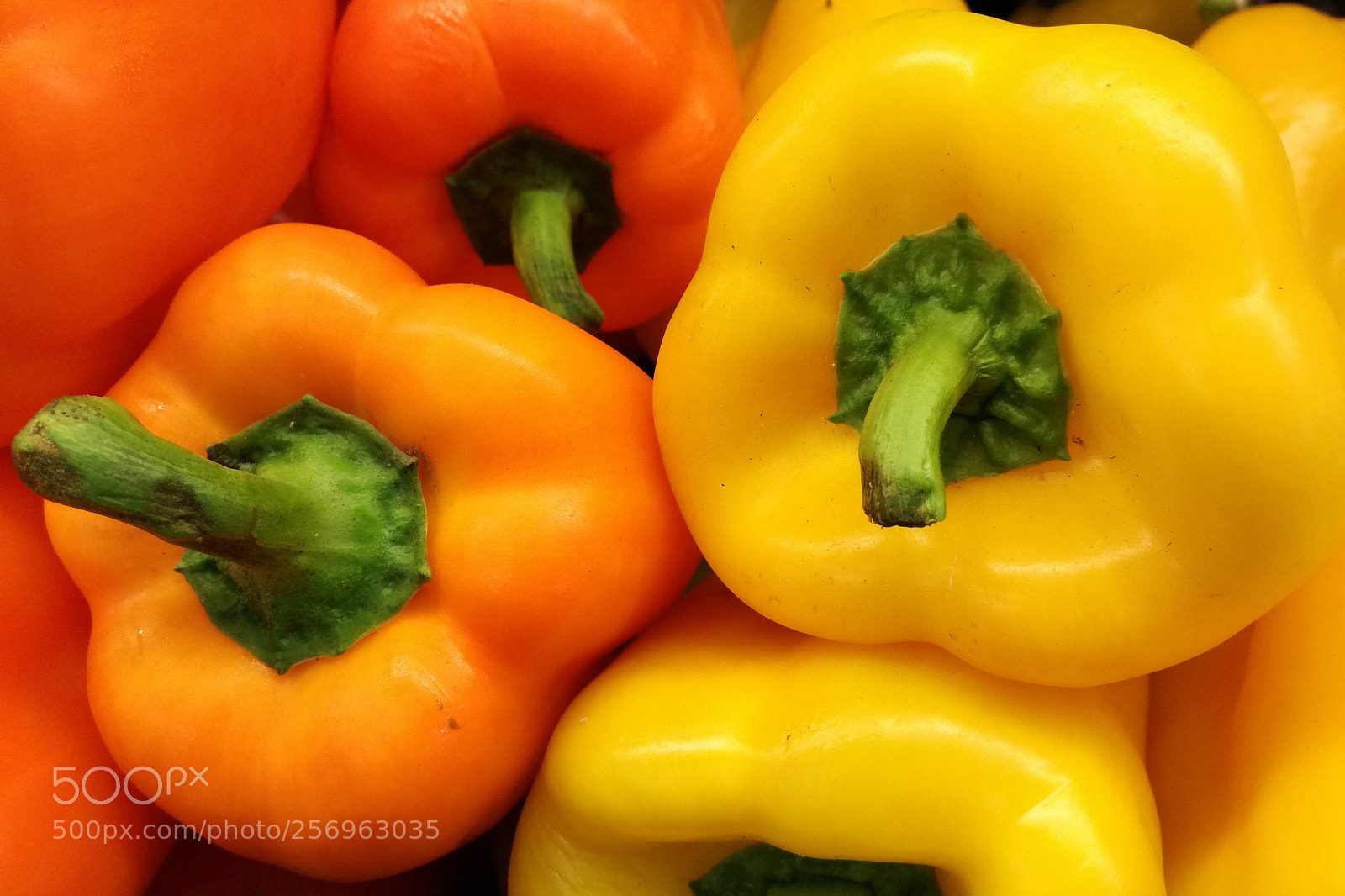 HUAWEI P9 LITE sample photo. Peppers photography