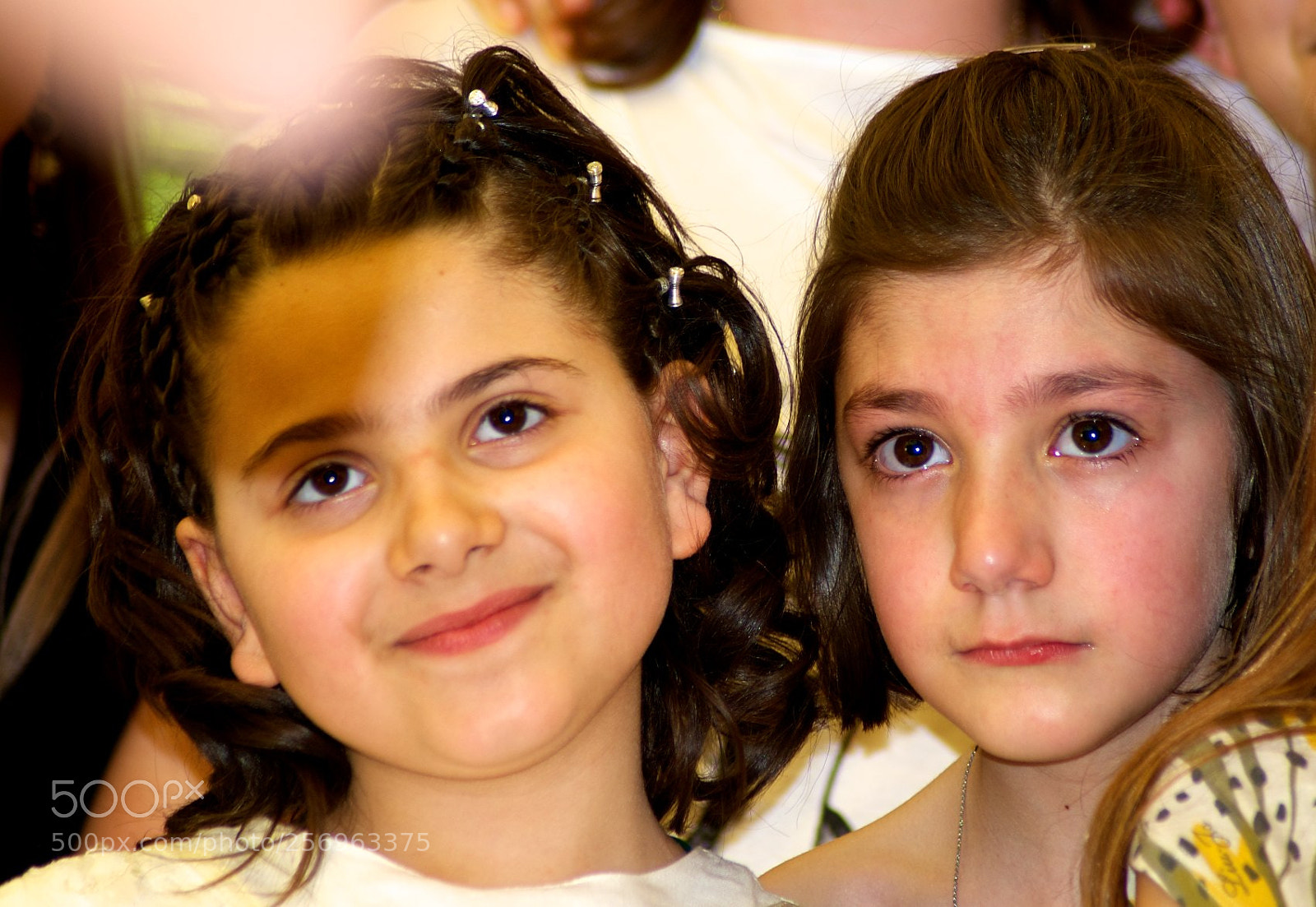 Nikon D60 sample photo. Version photography