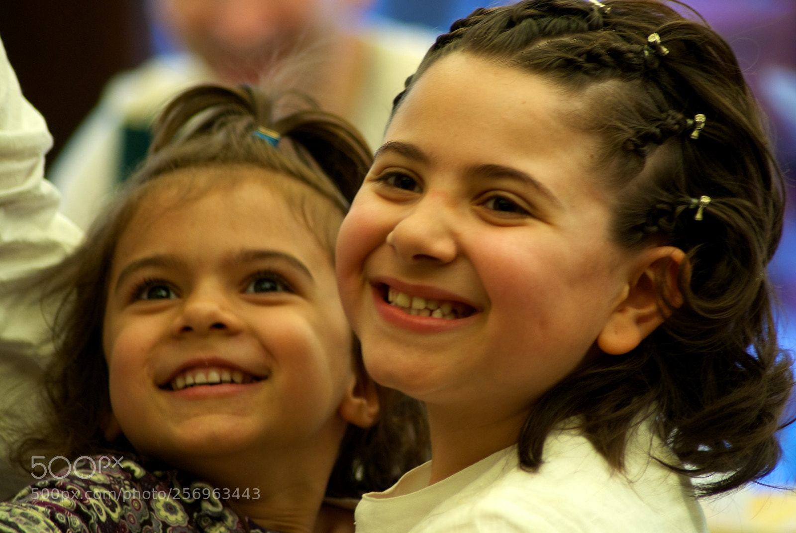Nikon D60 sample photo. Version photography