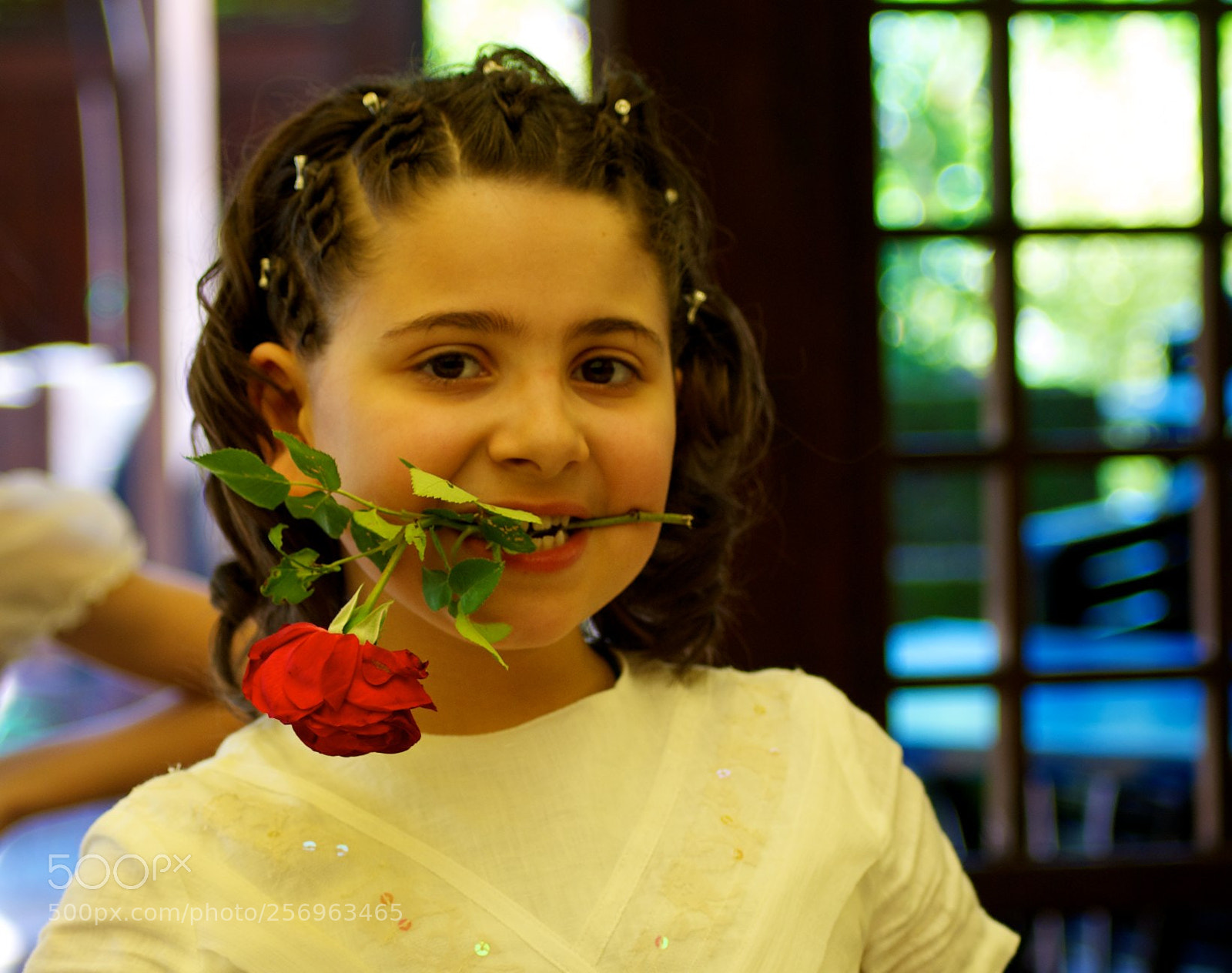 Nikon D60 sample photo. Version photography
