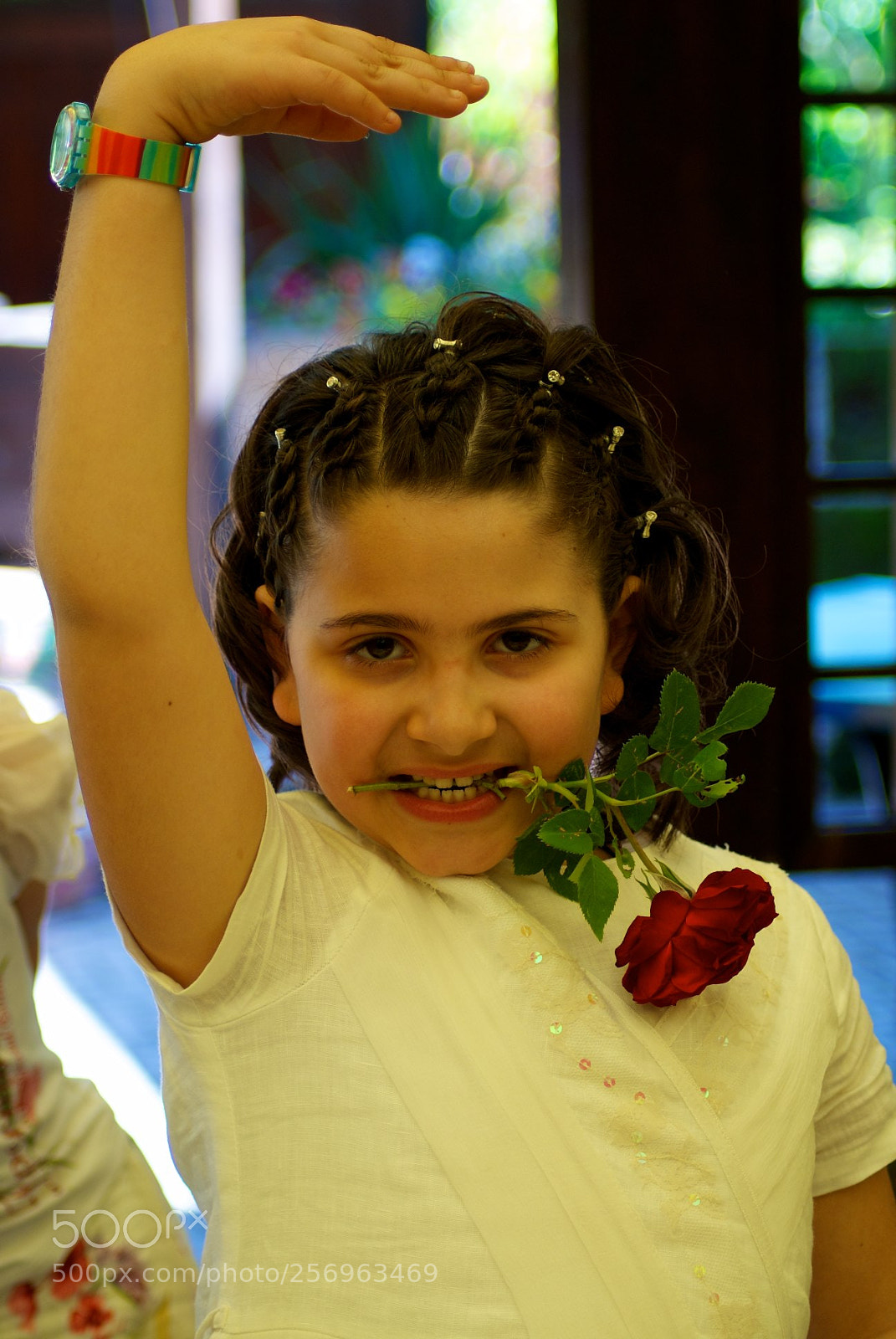 Nikon D60 sample photo. Version photography