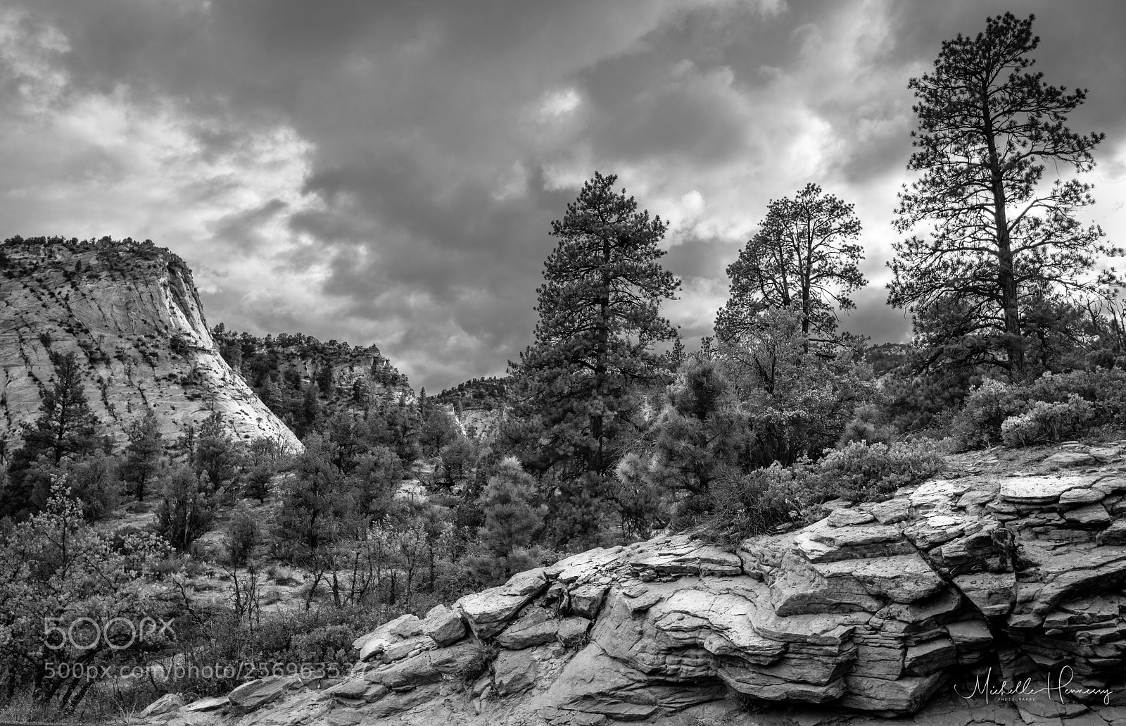 Nikon D850 sample photo. Utah roadside vista photography