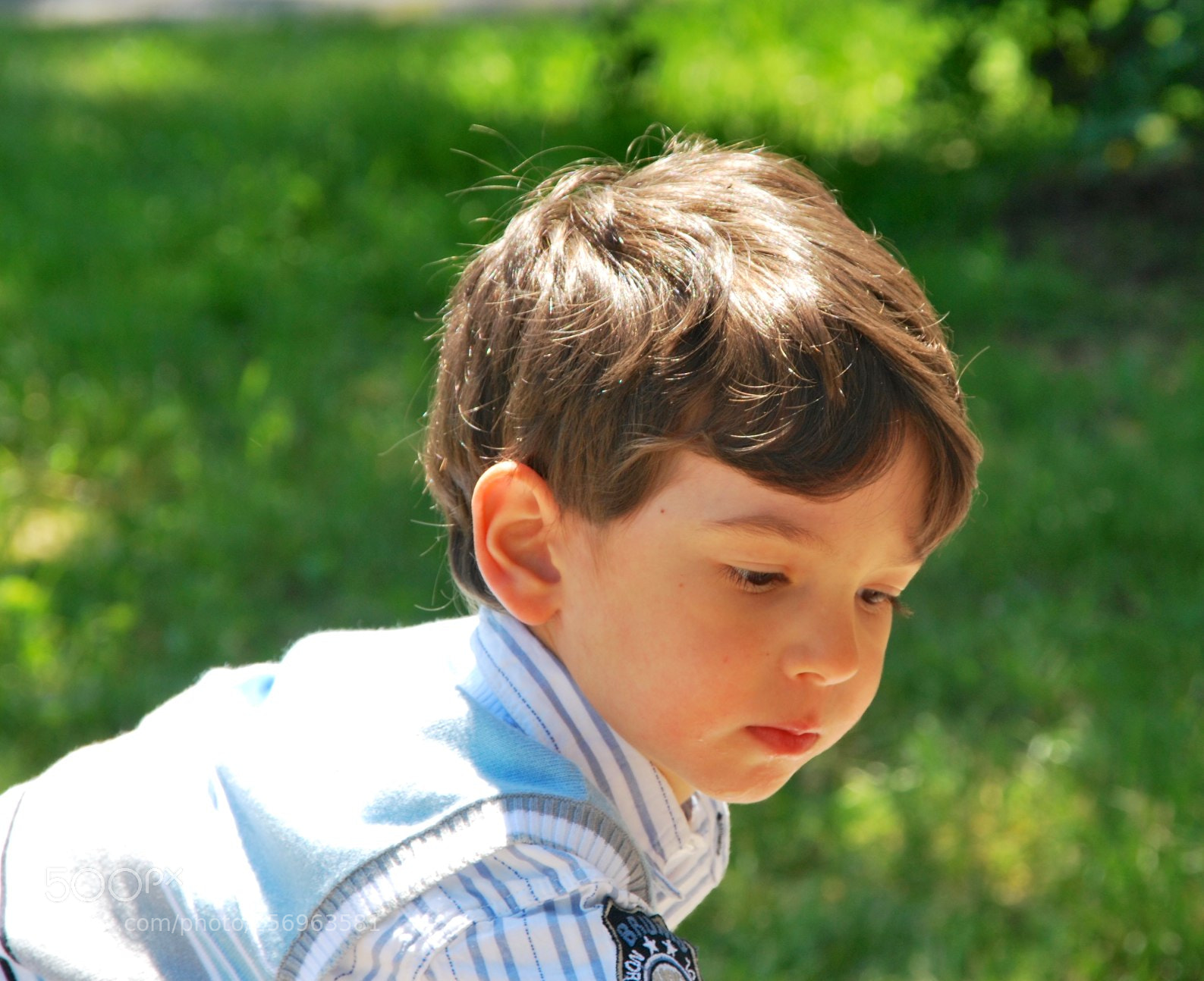 Nikon D60 sample photo. Version photography