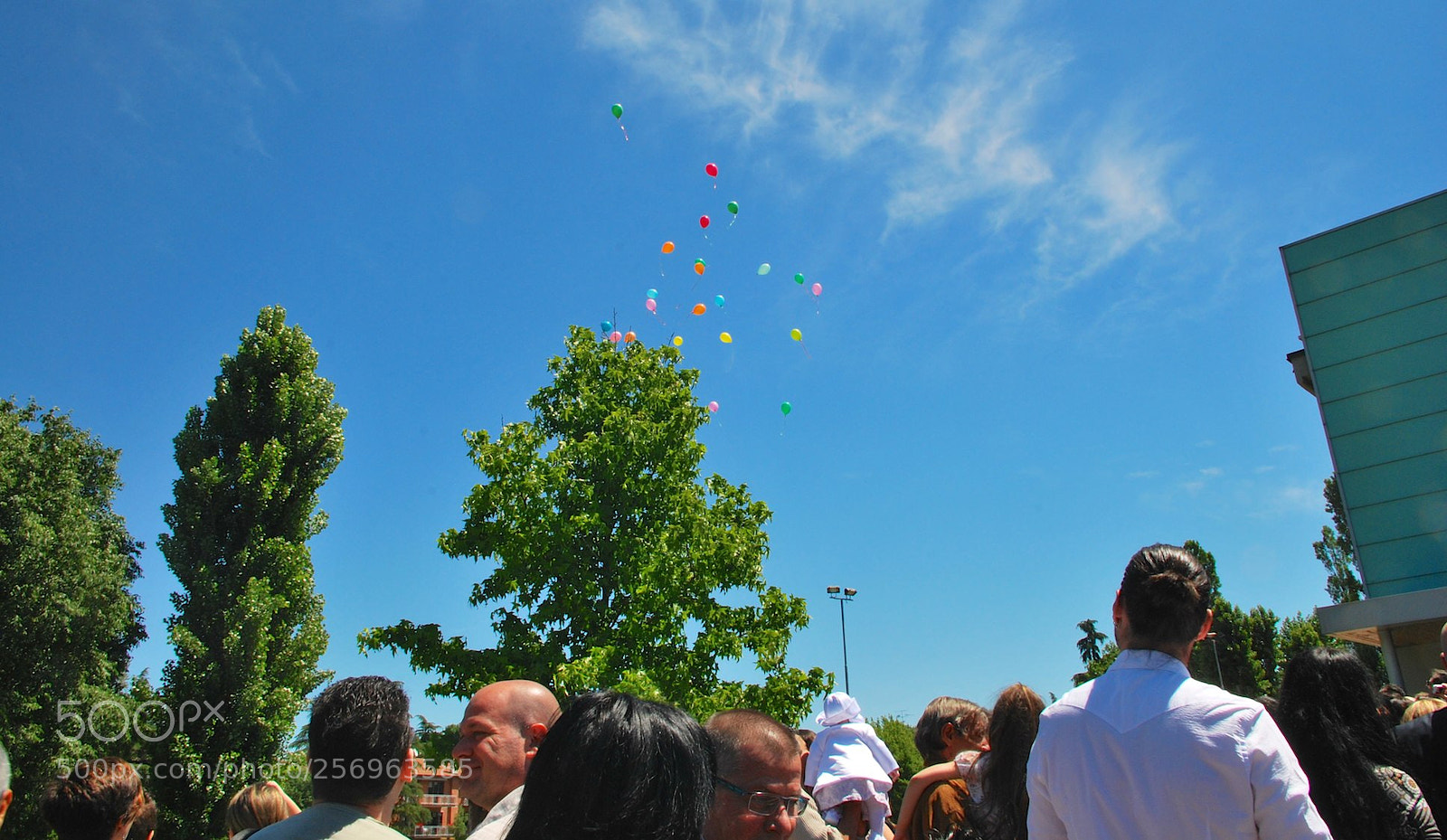 Nikon D60 sample photo. Version photography