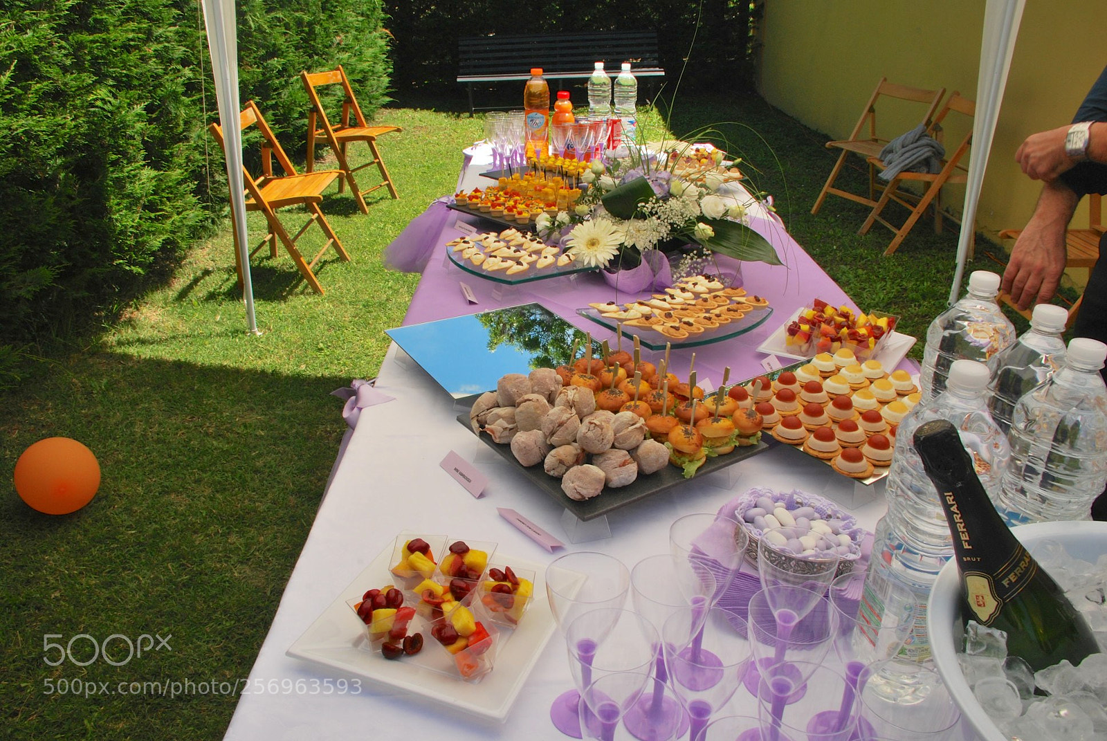 Nikon D60 sample photo. Version photography