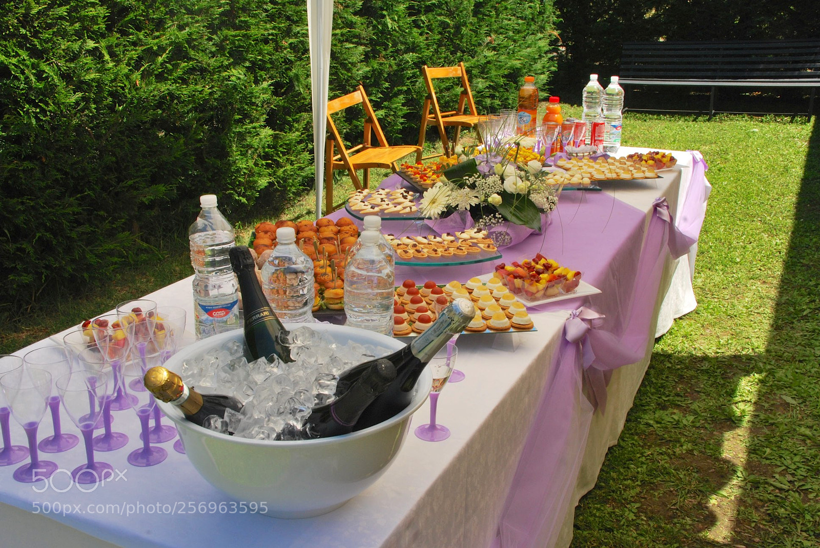 Nikon D60 sample photo. Version photography