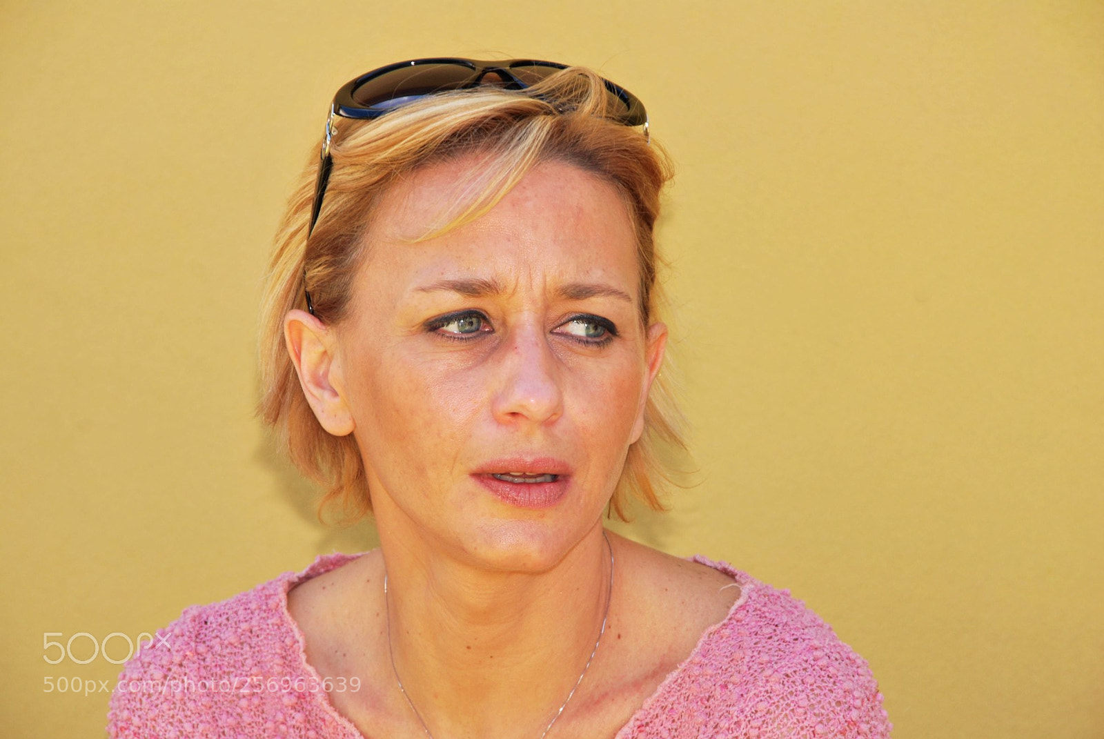 Nikon D60 sample photo. Version photography