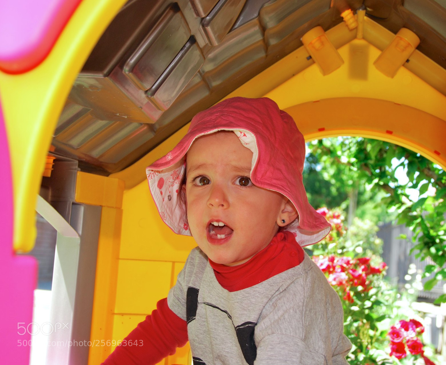 Nikon D60 sample photo. Version photography
