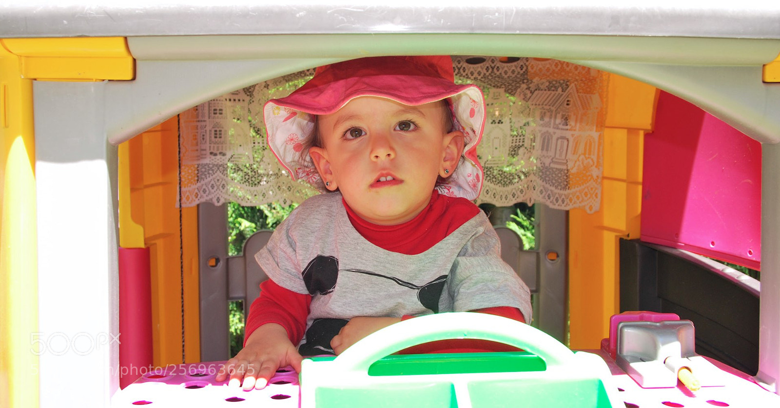 Nikon D60 sample photo. Version photography