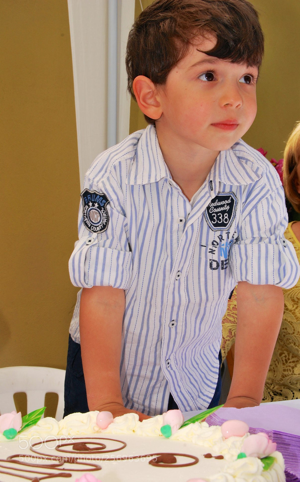 Nikon D60 sample photo. Version photography