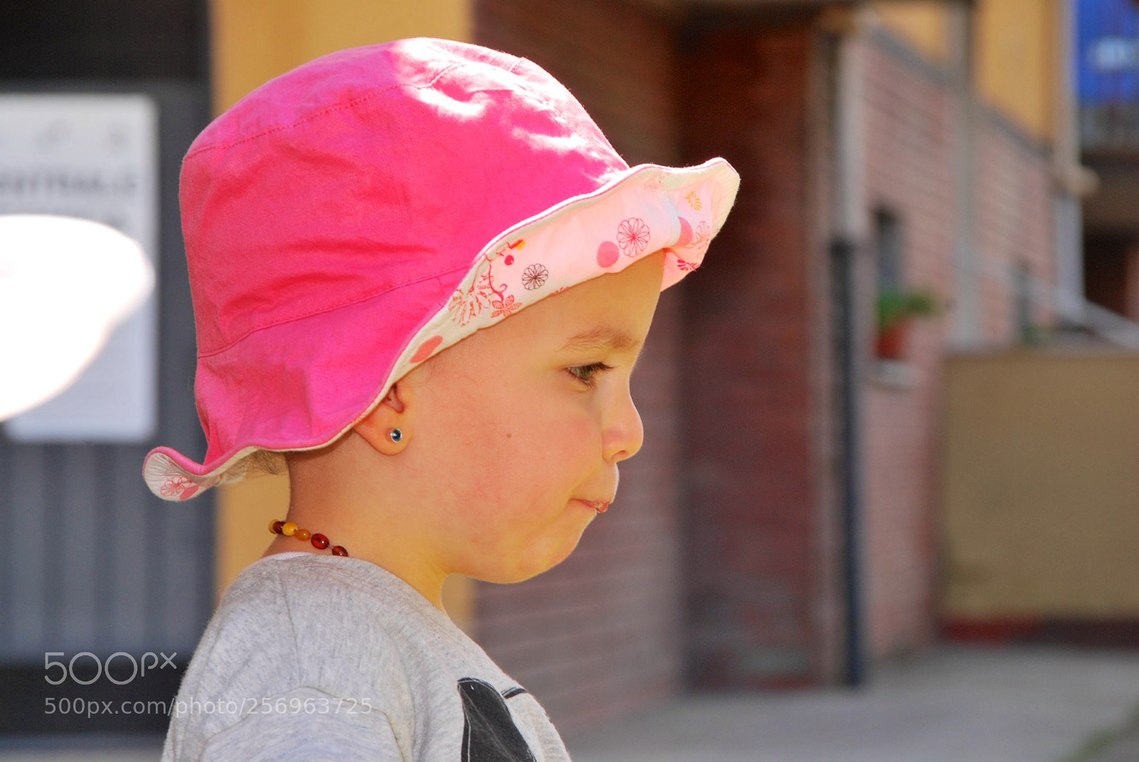 Nikon D60 sample photo. Version photography