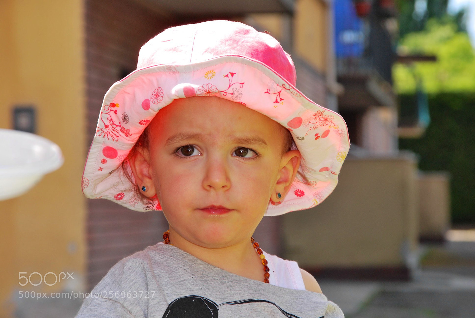 Nikon D60 sample photo. Version photography