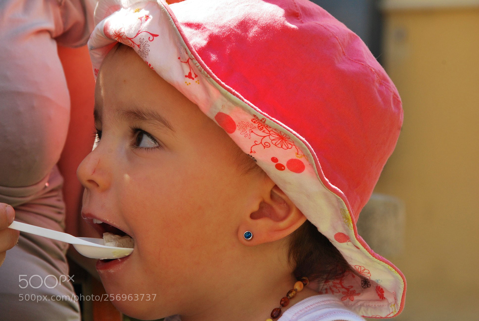 Nikon D60 sample photo. Version photography