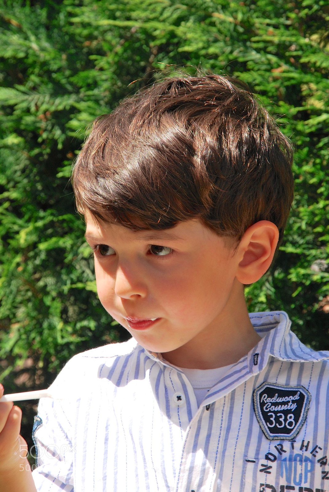 Nikon D60 sample photo. Version photography