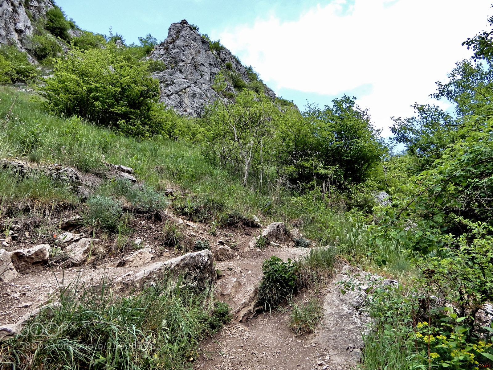 Nikon Coolpix A900 sample photo. Cheile turzii photography