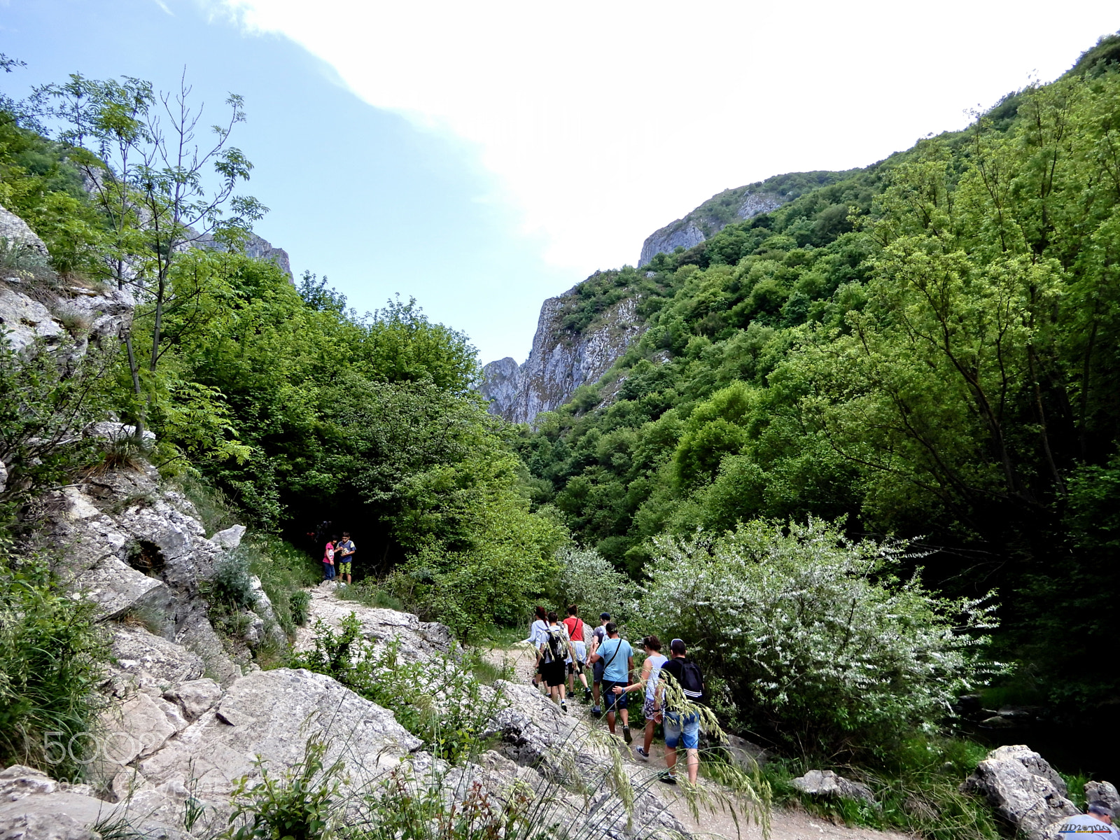 Nikon Coolpix A900 sample photo. Cheile turzii photography