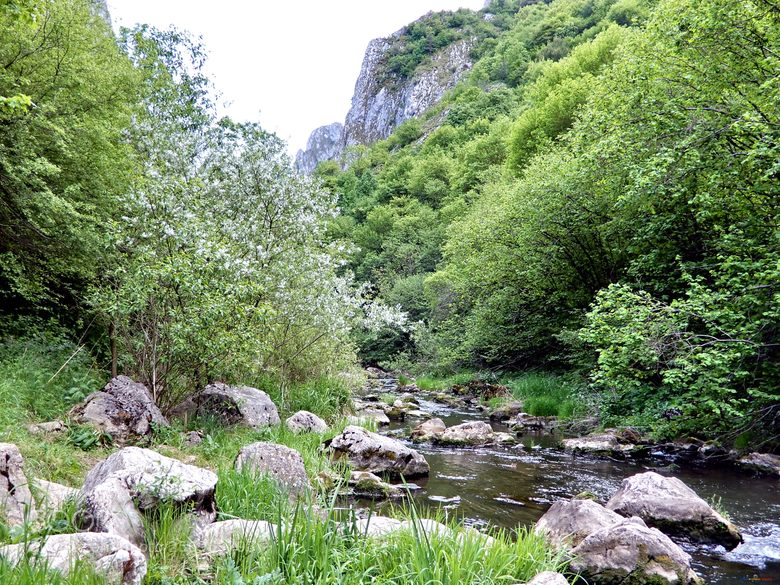 Nikon Coolpix A900 sample photo. Cheile turzii photography