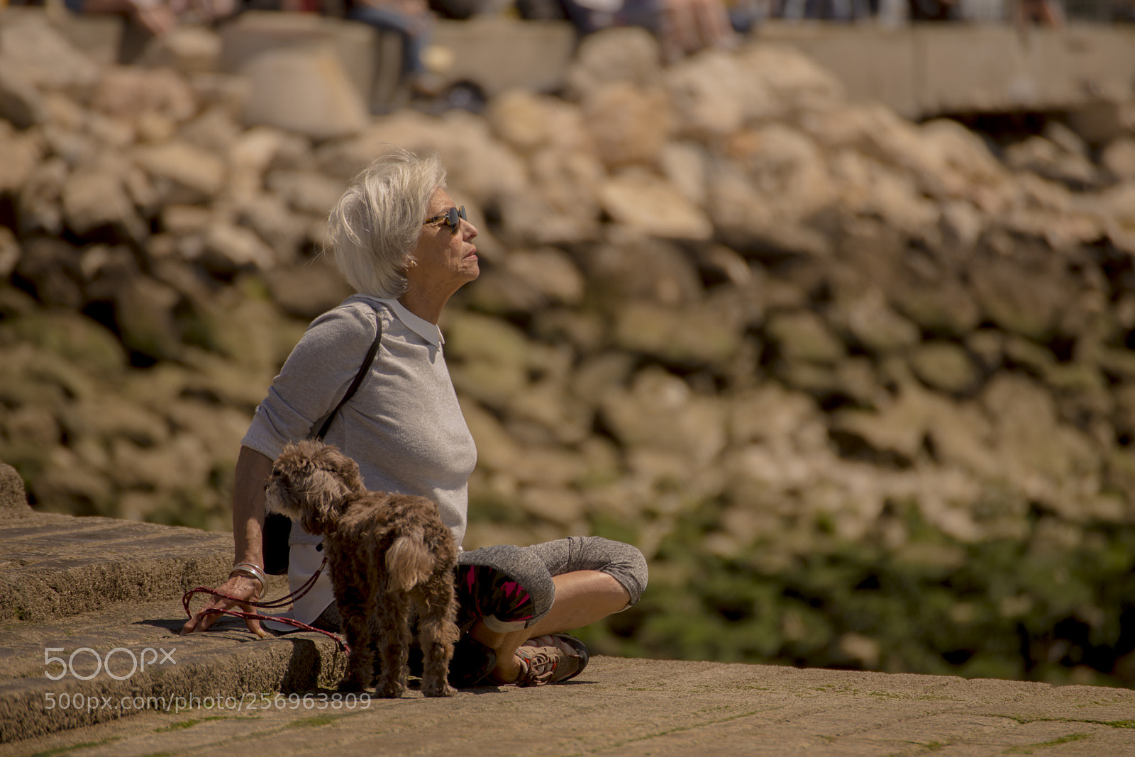 Nikon D610 sample photo. Variadas photography