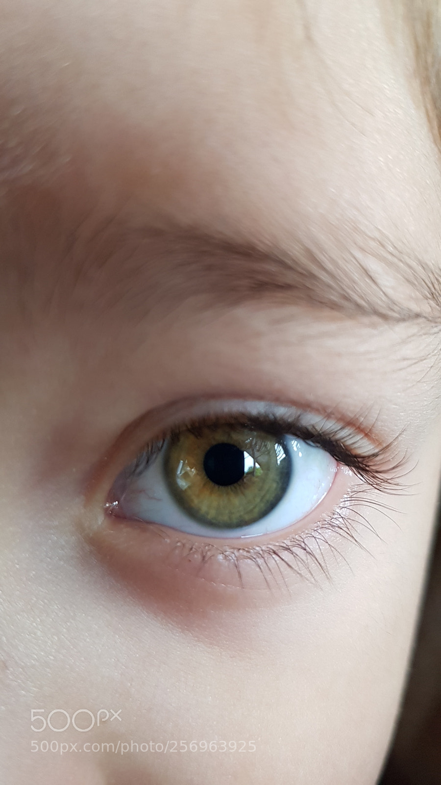 Samsung Galaxy S8 sample photo. 20180203_095128.jpg photography