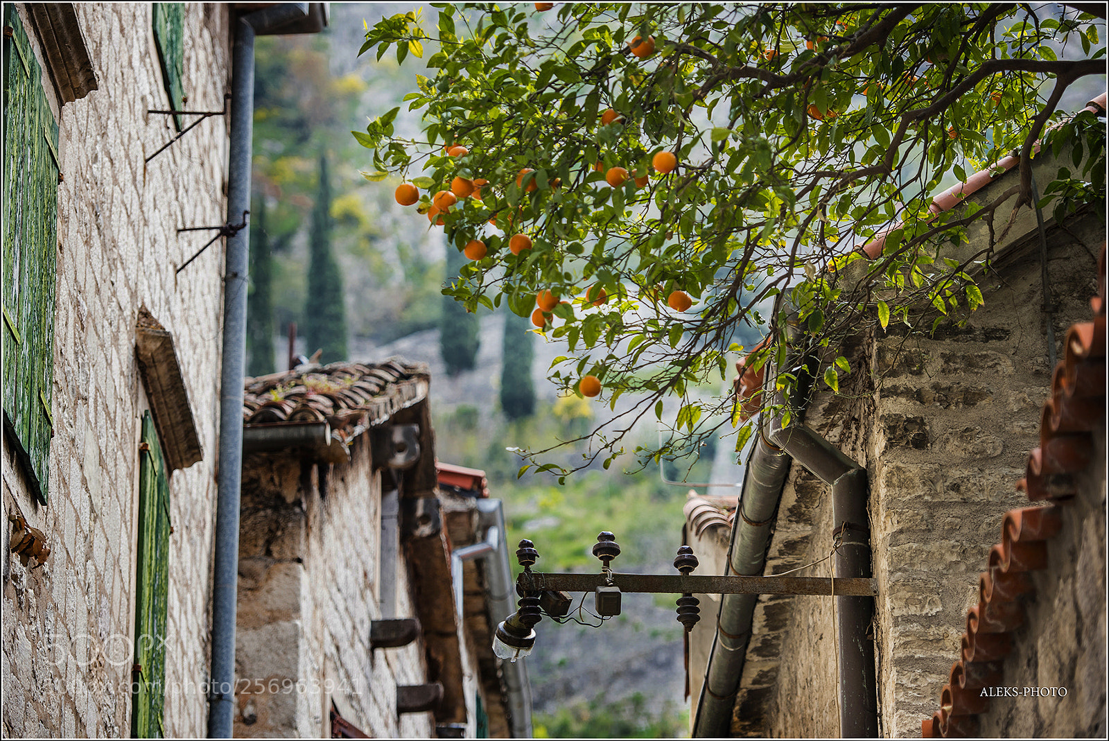 Nikon D810 sample photo. A street in kotor photography