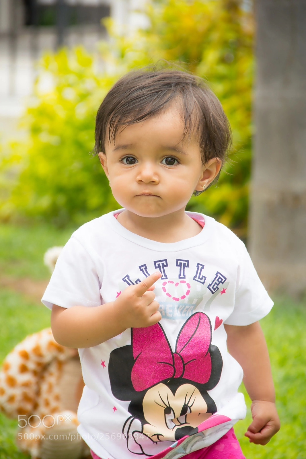 Canon EOS 60D sample photo. Sofix photography