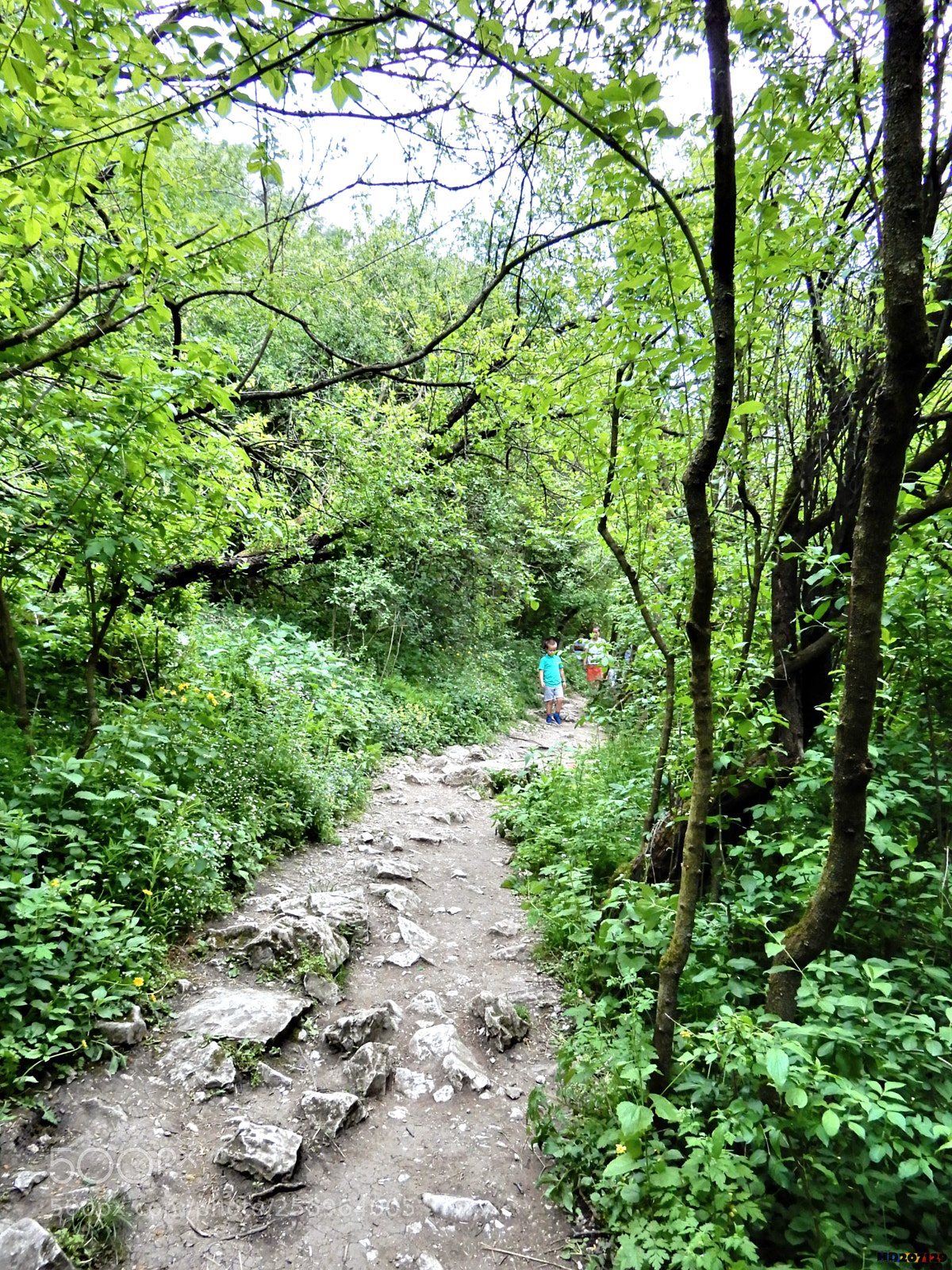 Nikon Coolpix A900 sample photo. Cheile turzii photography