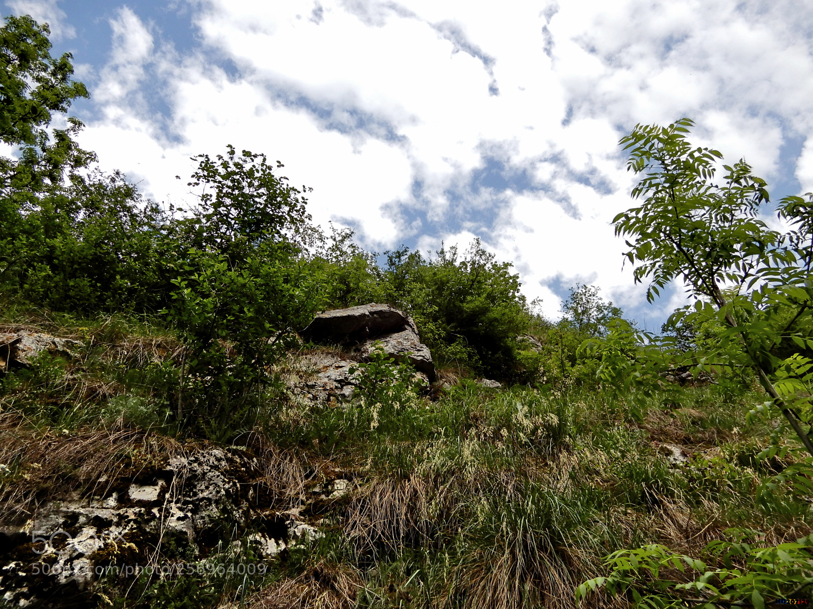 Nikon Coolpix A900 sample photo. Cheile turzii photography