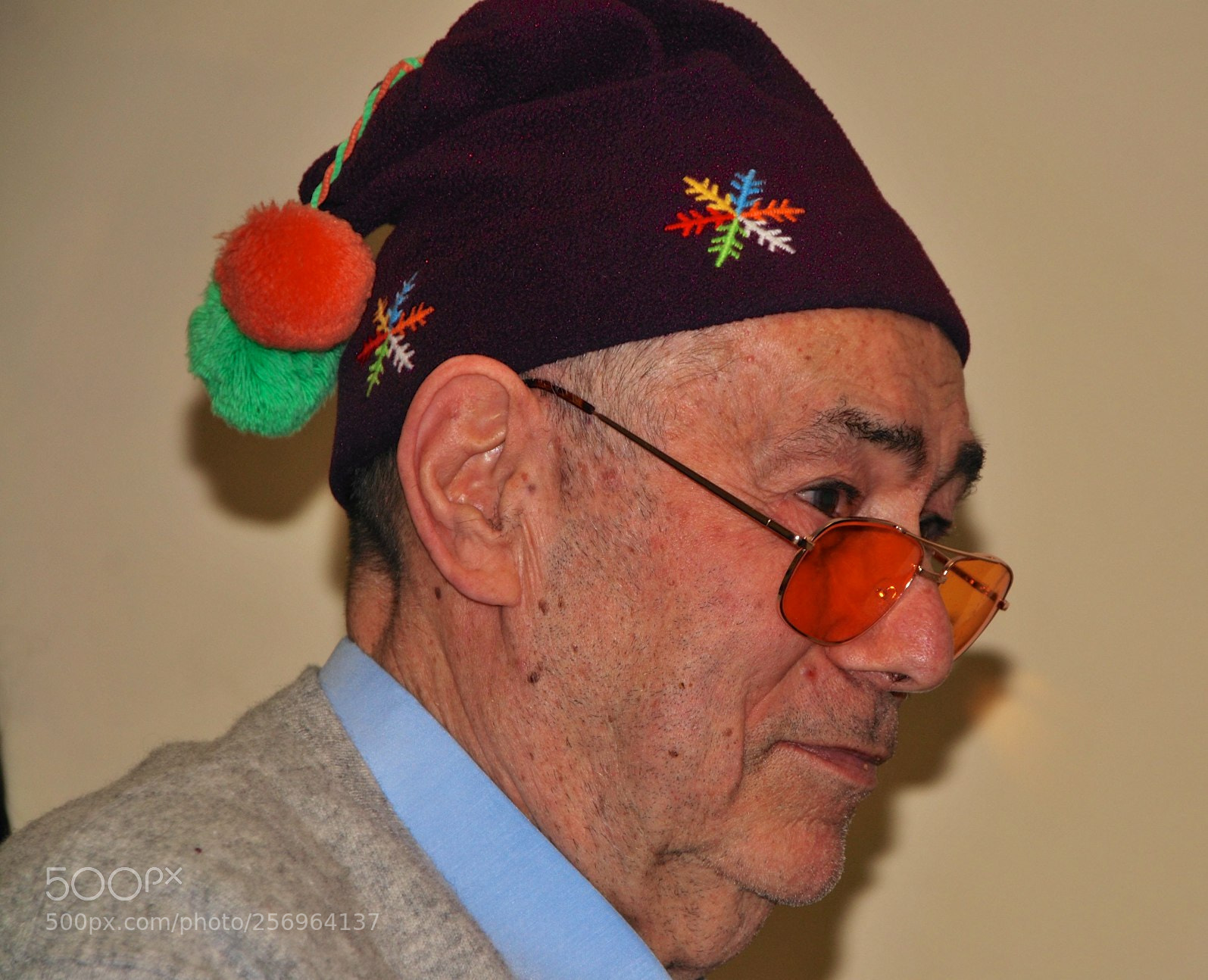 Nikon D60 sample photo. Version photography