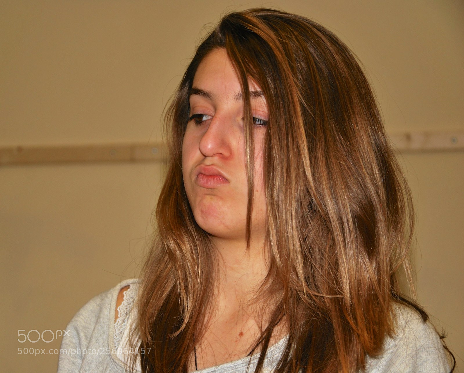 Nikon D60 sample photo. Version photography