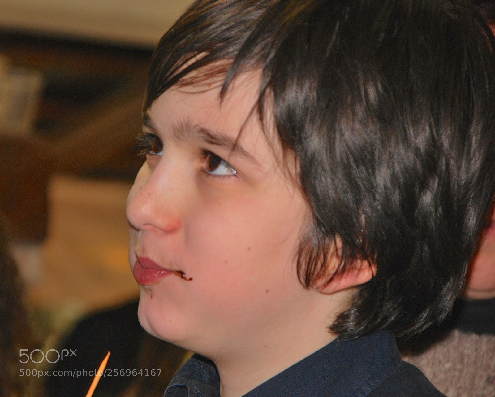 Nikon D60 sample photo. Version photography