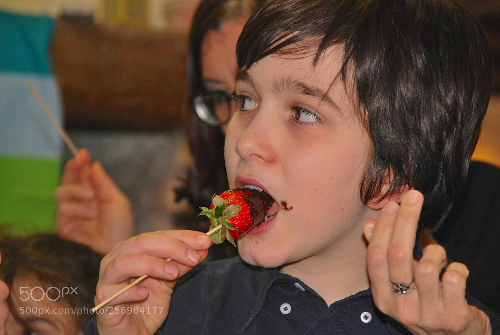 Nikon D60 sample photo. Version photography