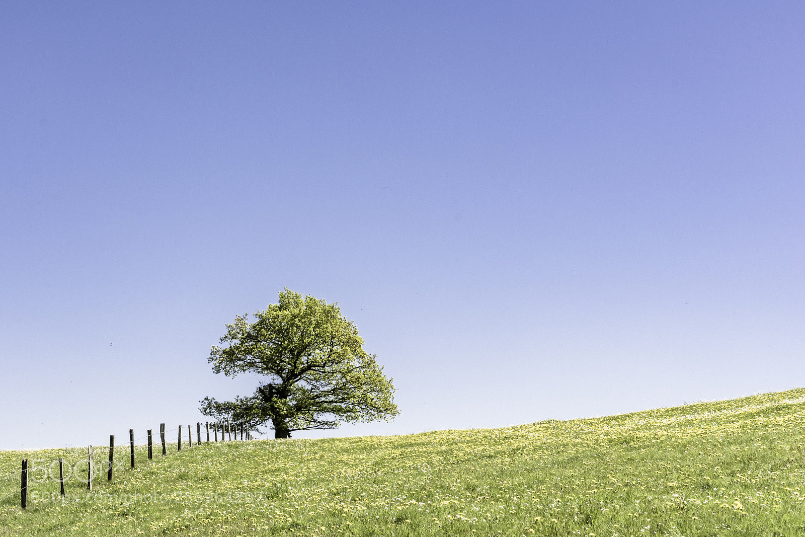 Nikon D7100 sample photo. Simple... photography