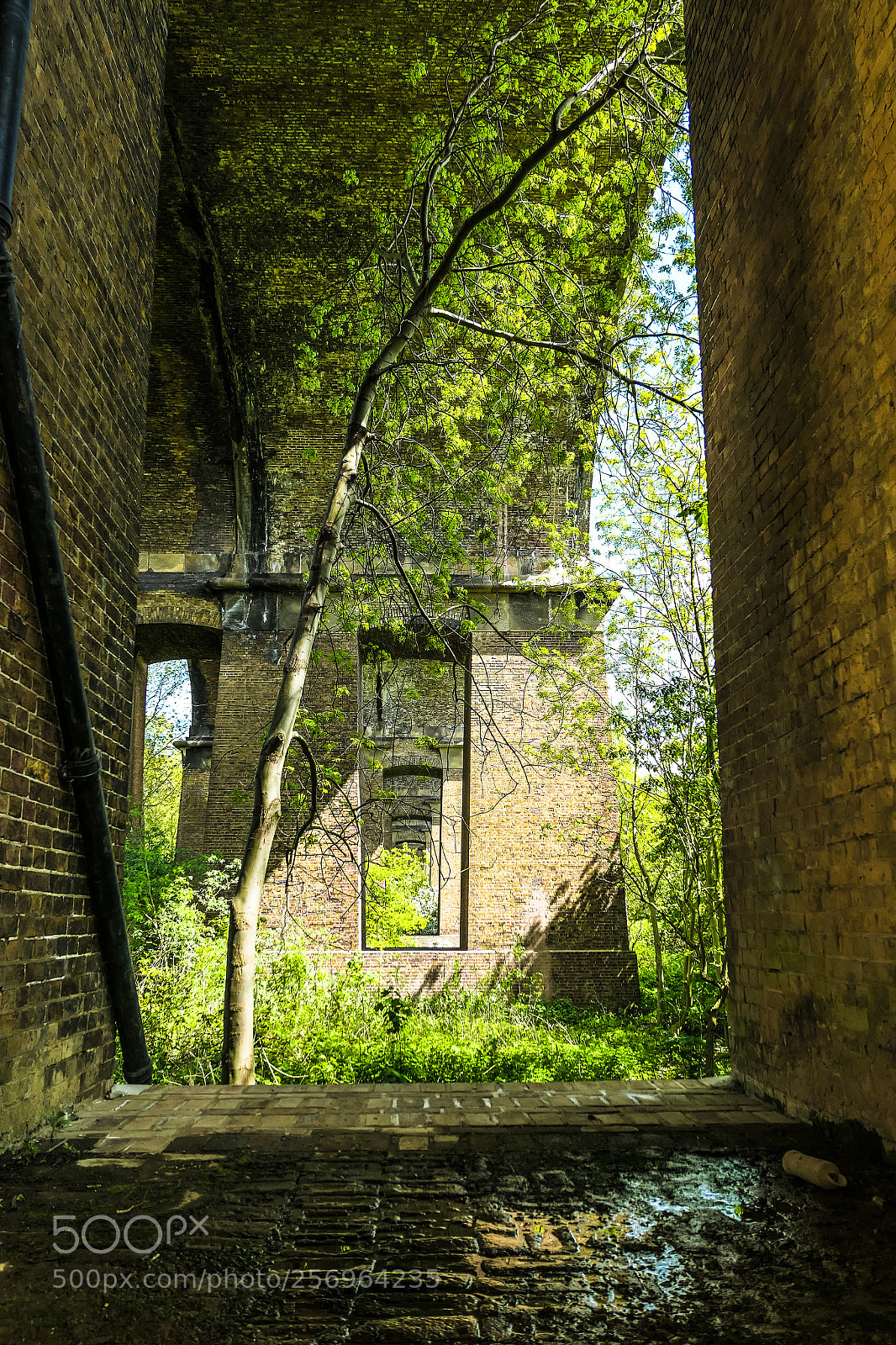 Panasonic Lumix DMC-LX10 (Lumix DMC-LX15) sample photo. Wharncliffe viaduct. photography