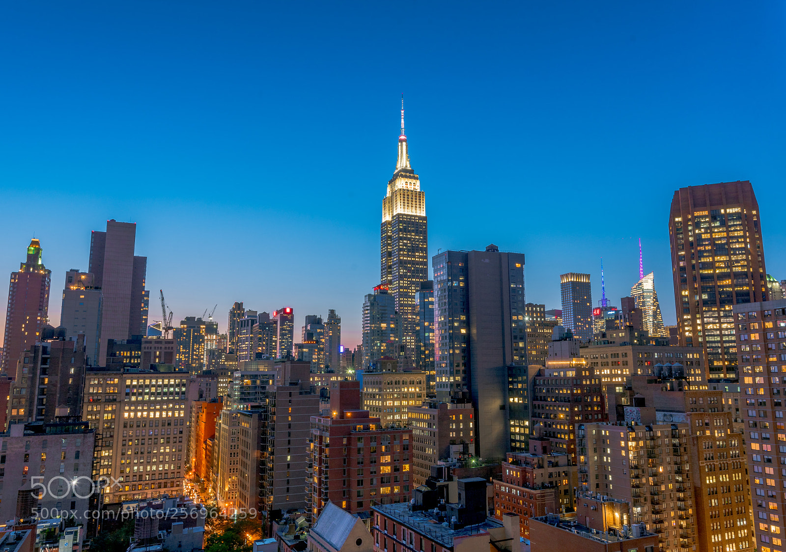 Nikon D750 sample photo. New york gold photography