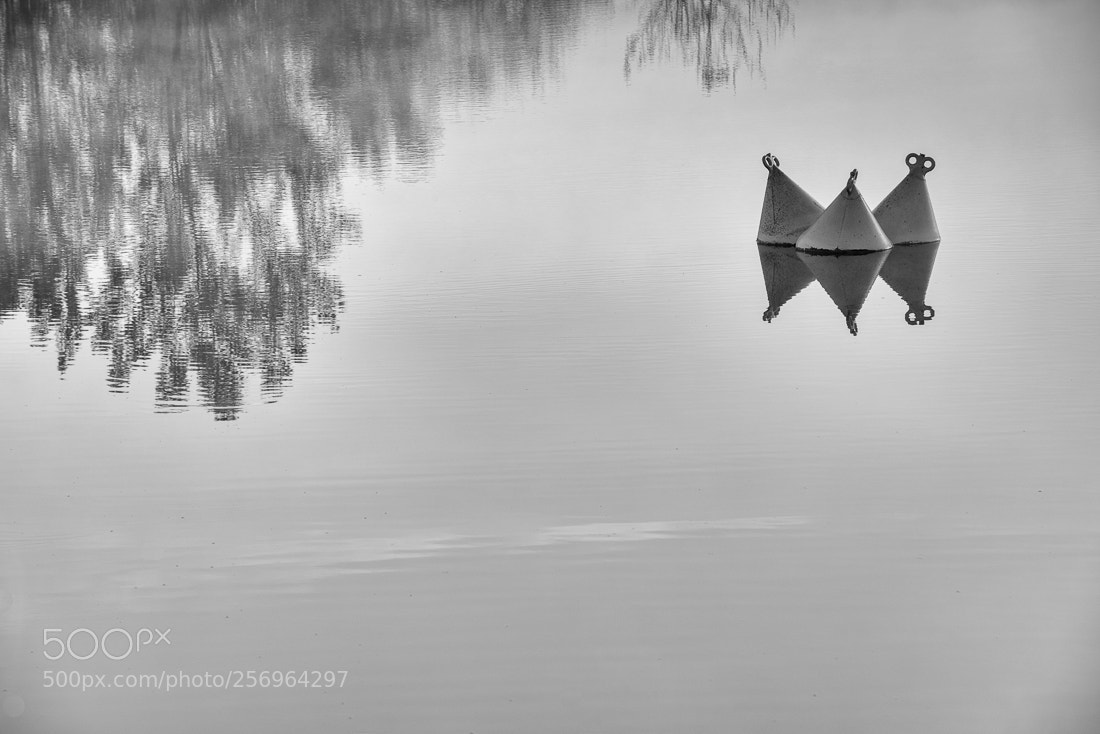 Nikon D810 sample photo. Reflecting in tuscany photography