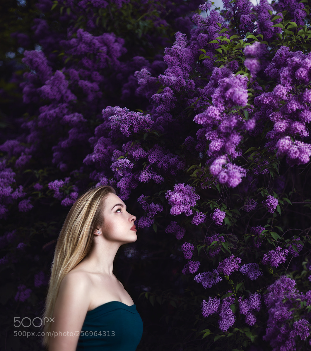 Nikon D810 sample photo. In the realm of photography