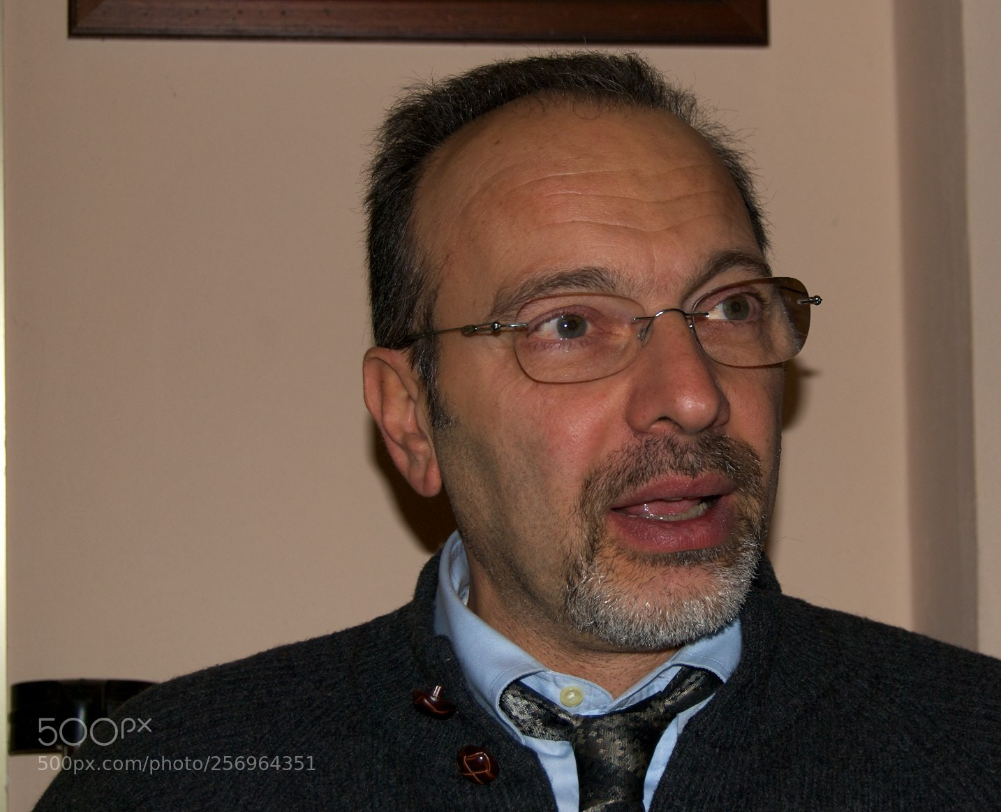 Nikon D60 sample photo. Version photography