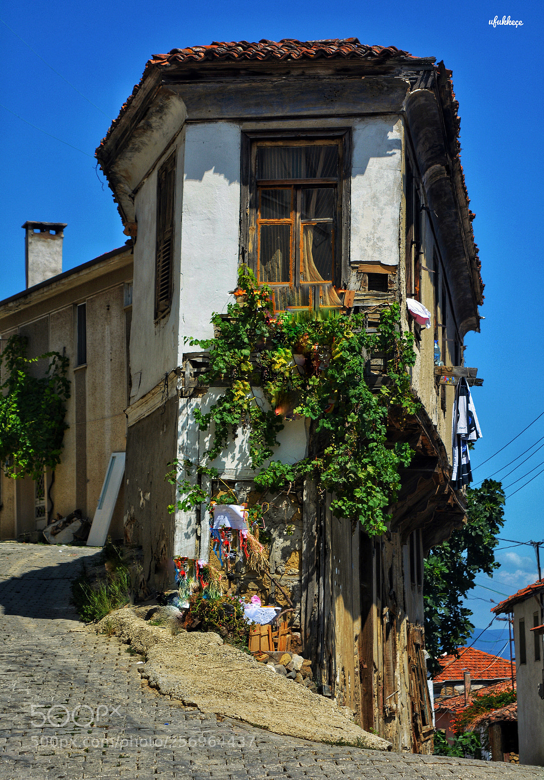 Nikon D5200 sample photo. Trilye, mudanya photography