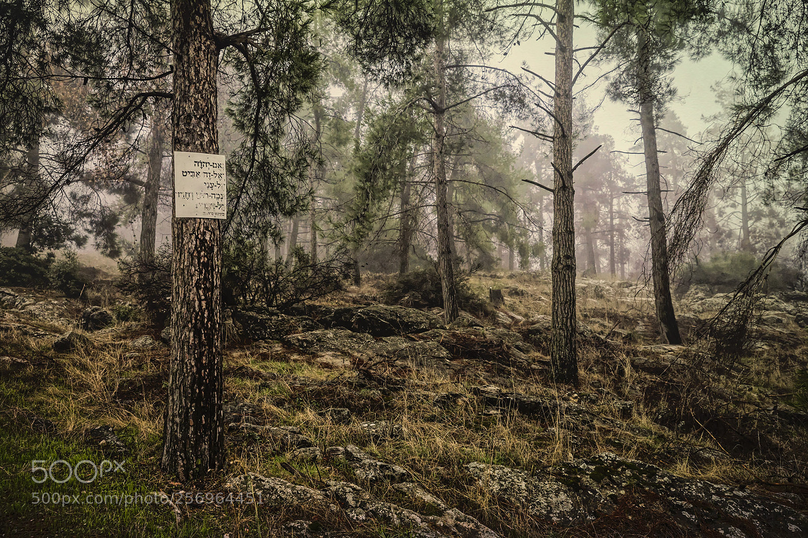 Canon EOS 6D sample photo. A sign from... photography