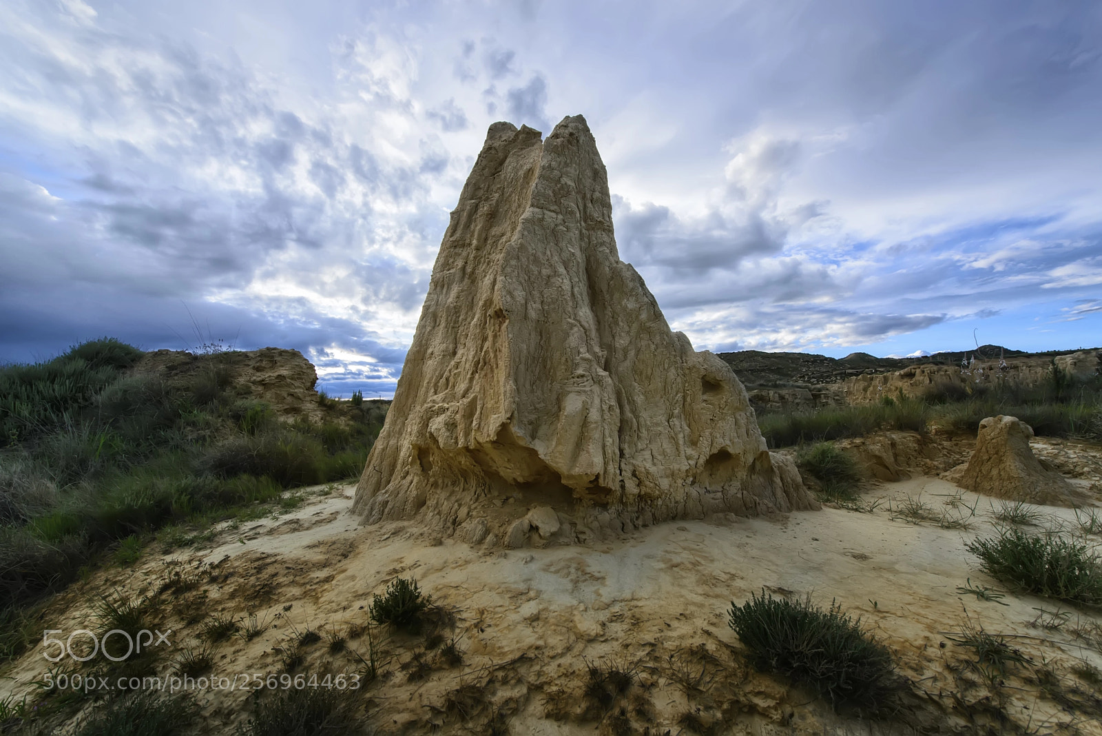 Nikon D610 sample photo. Fangs desert photography