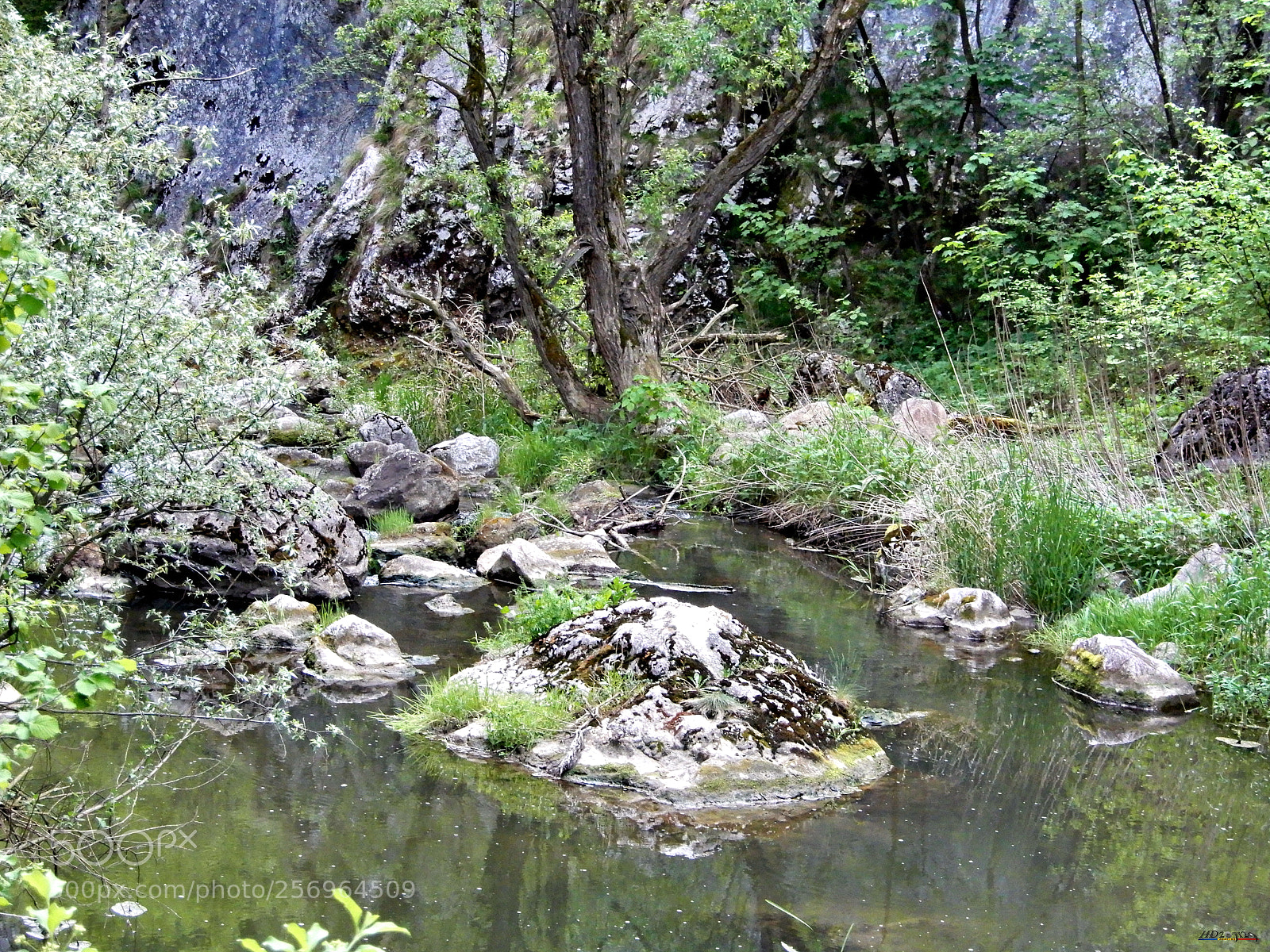 Nikon Coolpix A900 sample photo. Cheile turzii photography