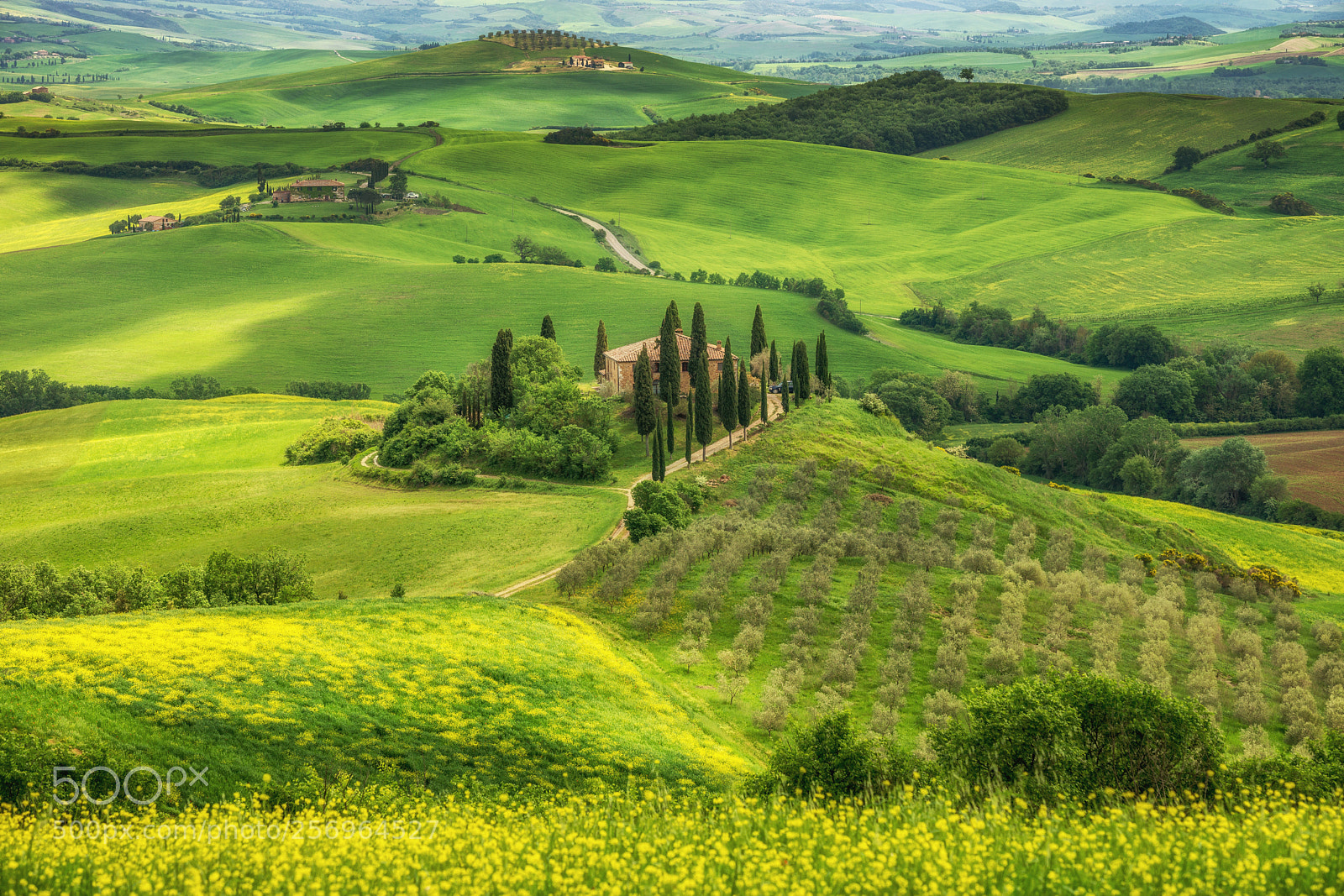 Sony SLT-A99V sample photo. Tuscany spring, landscape, italy photography