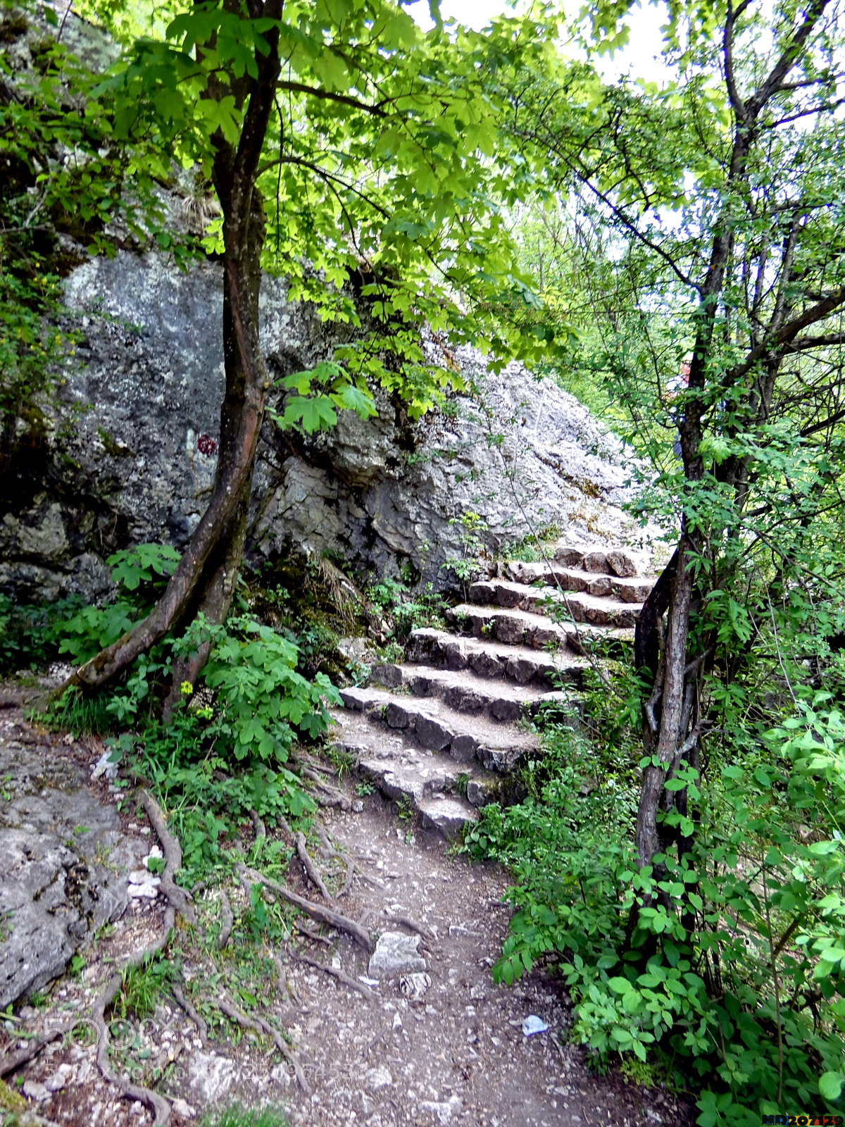 Nikon Coolpix A900 sample photo. Cheile turzii photography