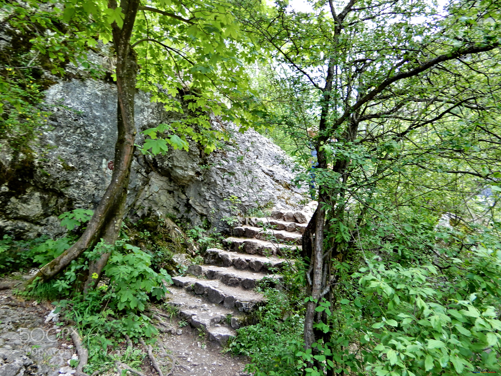 Nikon Coolpix A900 sample photo. Cheile turzii photography