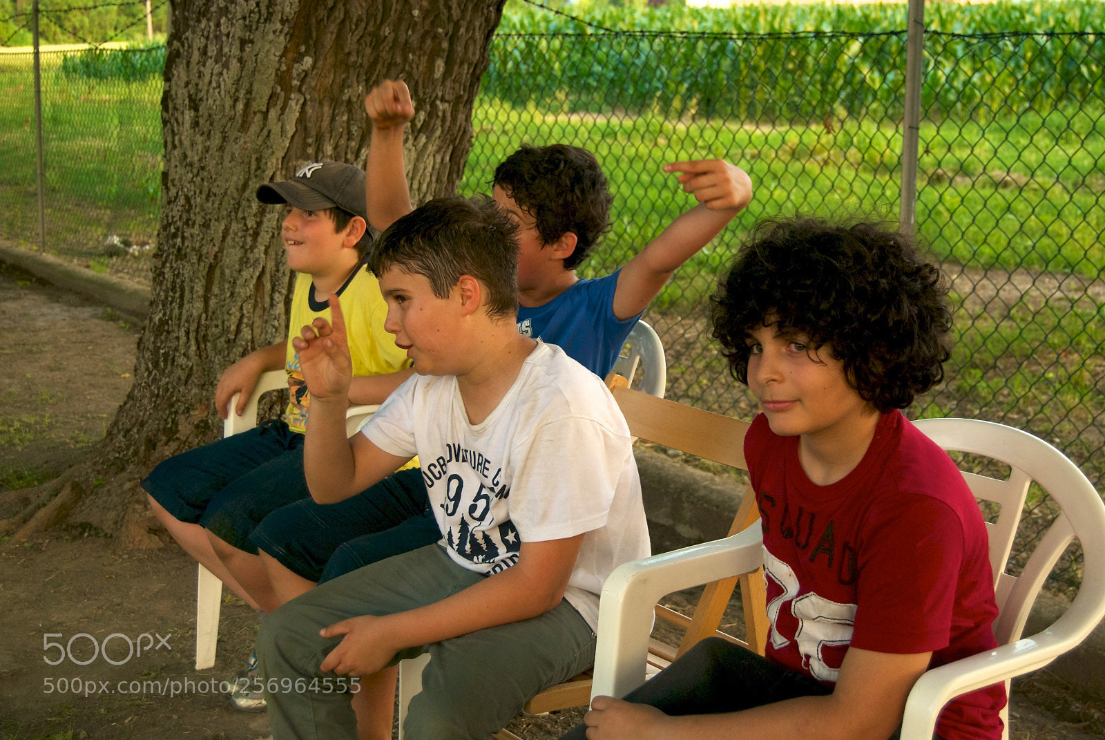 Nikon D60 sample photo. Version photography