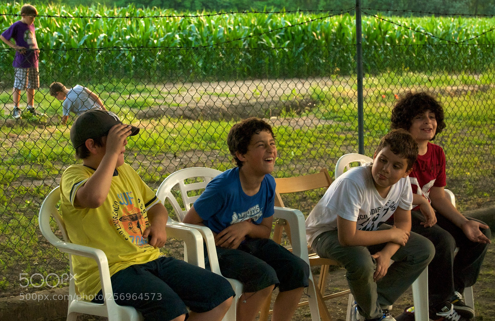 Nikon D60 sample photo. Version photography