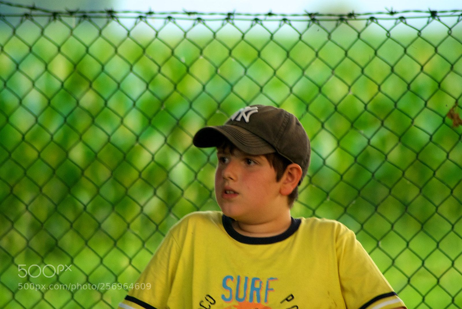 Nikon D60 sample photo. Version photography