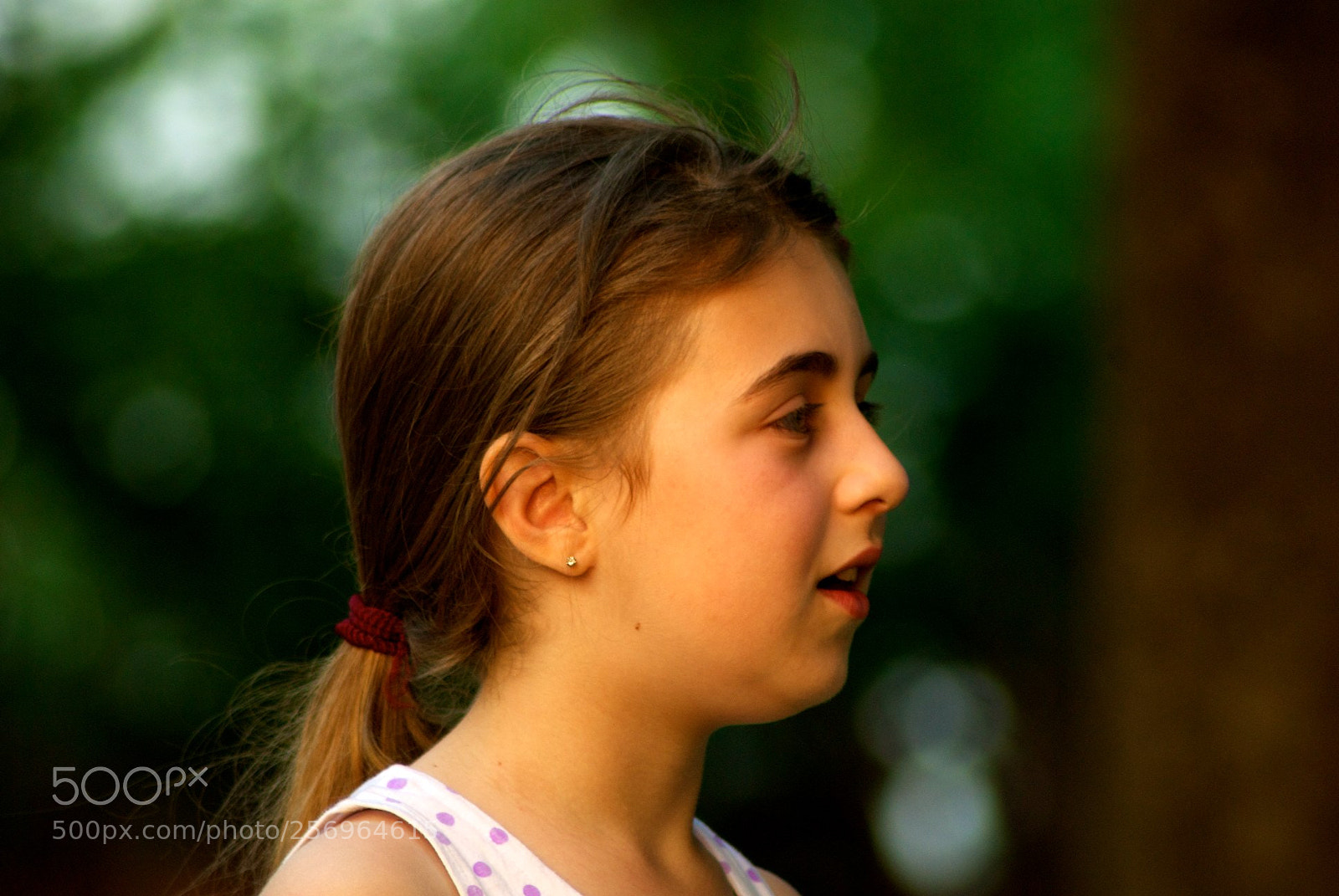 Nikon D60 sample photo. Version photography