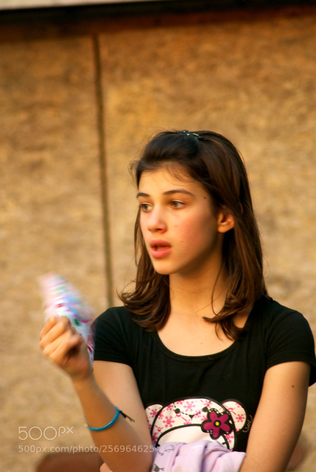Nikon D60 sample photo. Version photography
