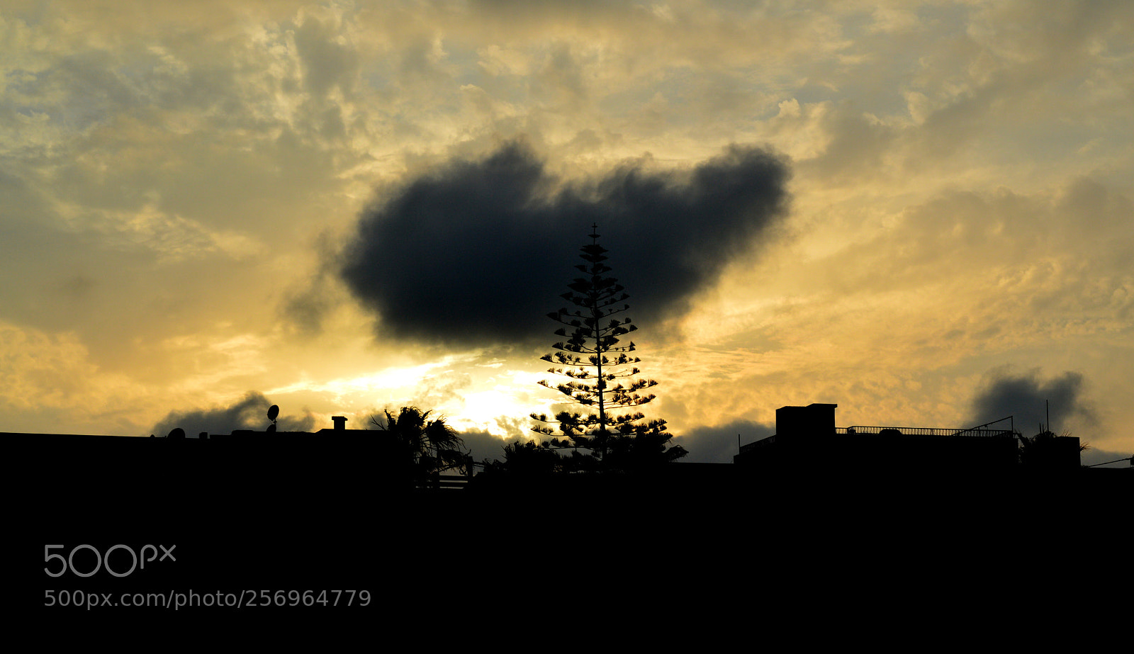 Nikon D3200 sample photo. Golden sun photography